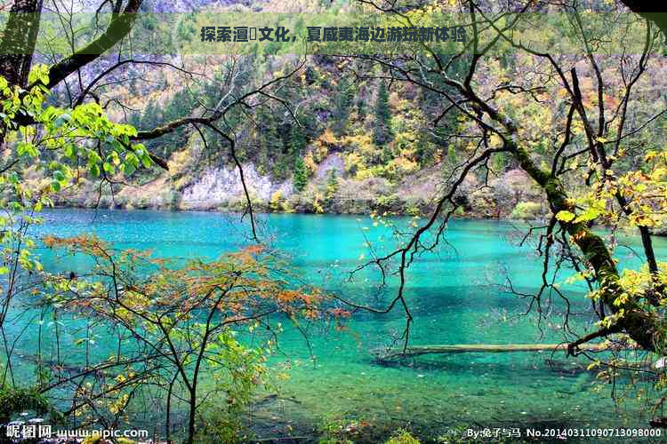 探索澶忓文化，夏威夷海边游玩新体验