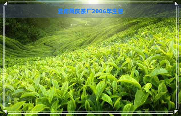 云南凤庆茶厂2006年生普