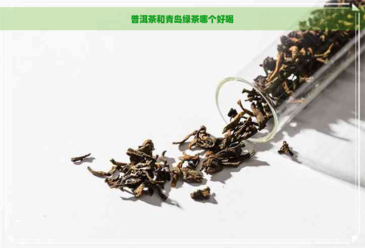 普洱茶和青岛绿茶哪个好喝