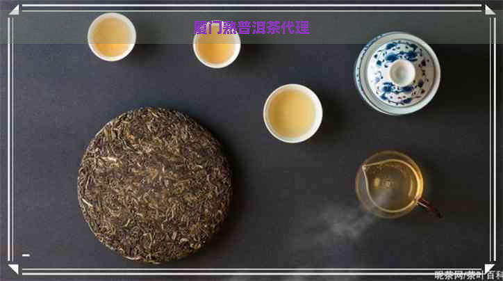 厦门熟普洱茶代理