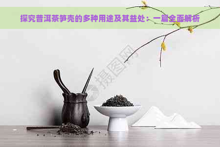 探究普洱茶笋壳的多种用途及其益处：一篇全面解析