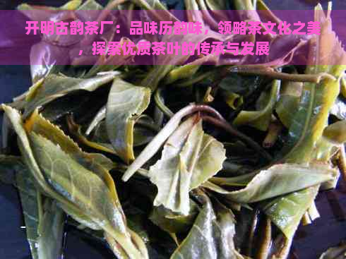 开明古韵茶厂：品味历韵味，领略茶文化之美，探索优质茶叶的传承与发展