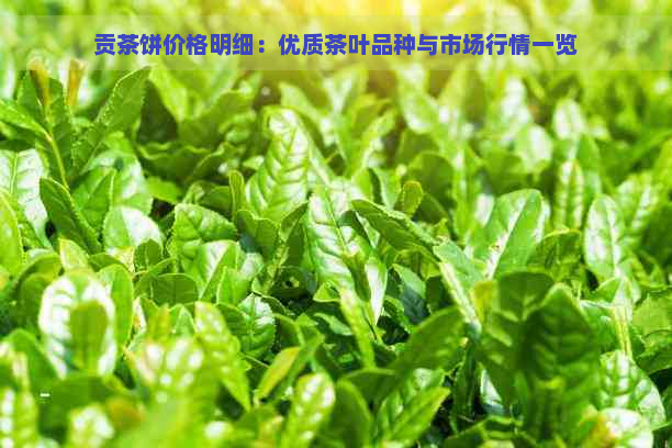 贡茶饼价格明细：优质茶叶品种与市场行情一览