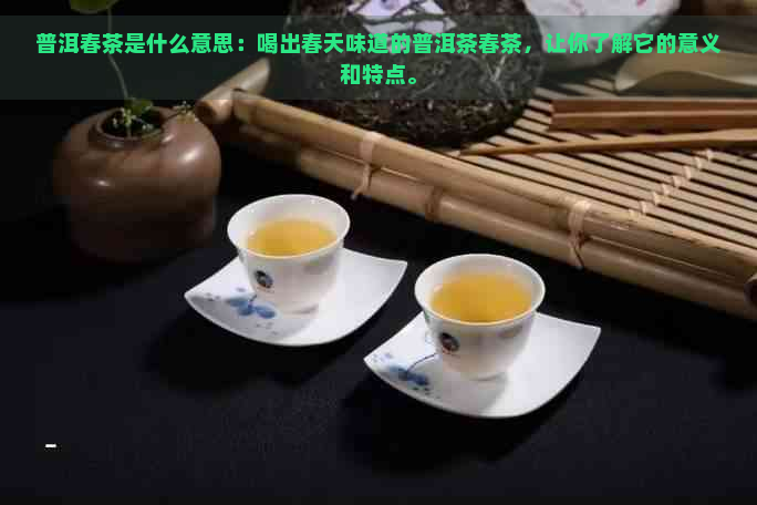 普洱春茶是什么意思：喝出春天味道的普洱茶春茶，让你了解它的意义和特点。