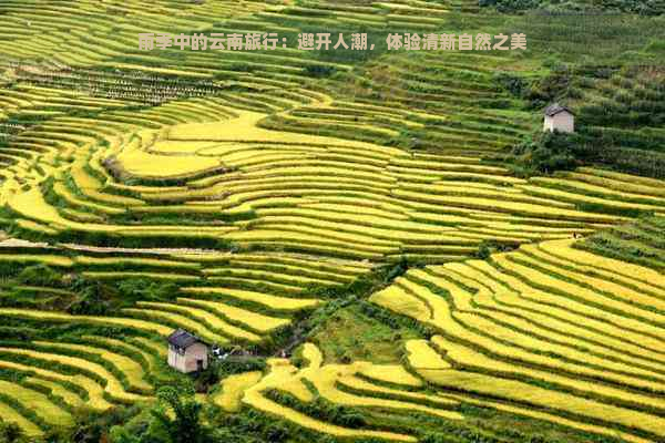 雨季中的云南旅行：避开人潮，体验清新自然之美