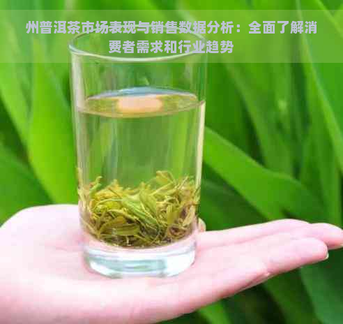 州普洱茶市场表现与销售数据分析：全面了解消费者需求和行业趋势