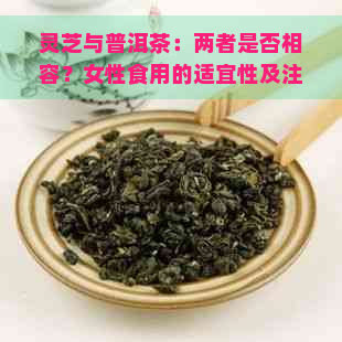 灵芝与普洱茶：两者是否相容？女性食用的适宜性及注意事项