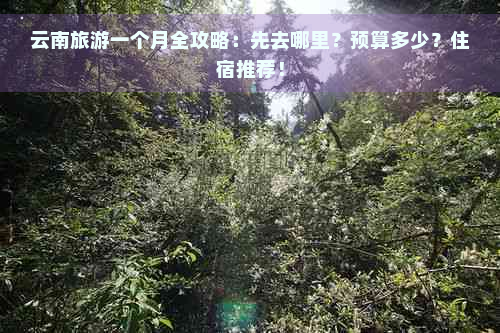 云南旅游一个月全攻略：先去哪里？预算多少？住宿推荐！