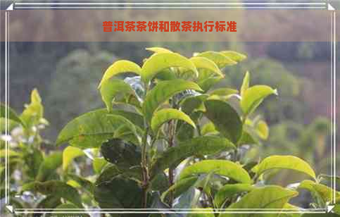 普洱茶茶饼和散茶执行标准