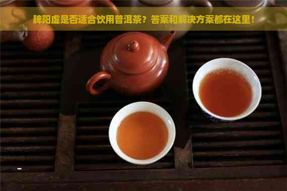 脾阳虚是否适合饮用普洱茶？答案和解决方案都在这里！