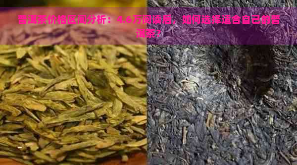 普洱茶价格区间分析：4.6万阅读后，如何选择适合自己的普洱茶？