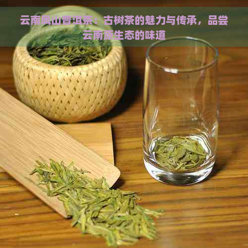 云南凤山普洱茶：古树茶的魅力与传承，品尝云南原生态的味道