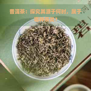 普洱茶：探究其源于何时，属于哪种茶类？