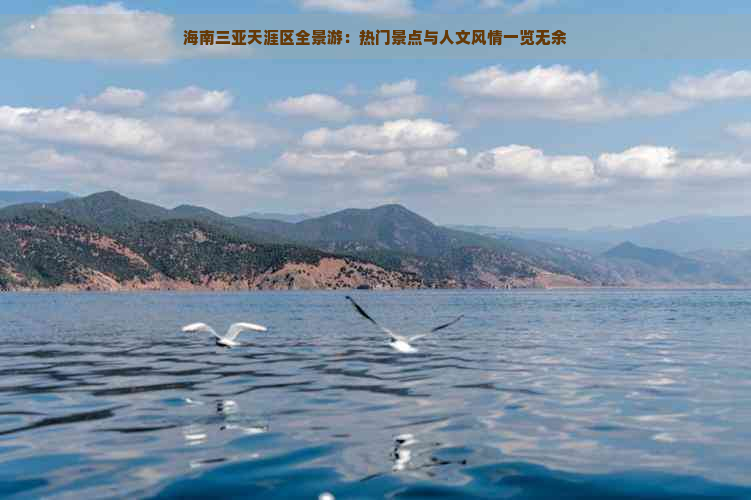 海南三亚天涯区全景游：热门景点与人文风情一览无余