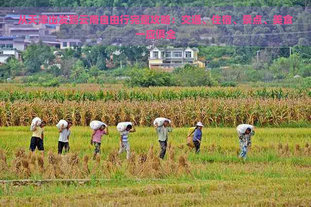 从天津出发到云南自由行完整攻略：交通、住宿、景点、美食一应俱全