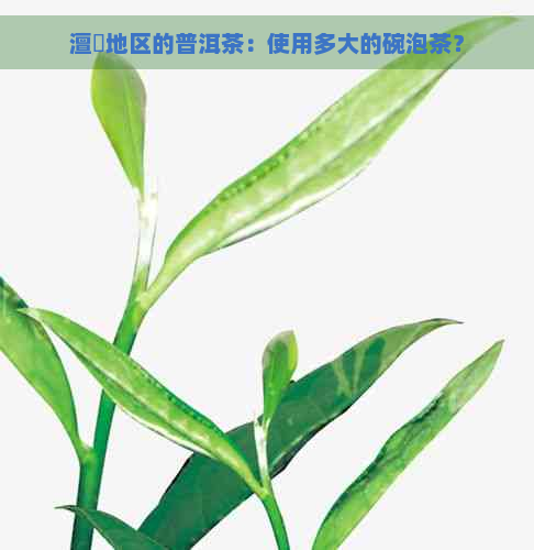 澶氬地区的普洱茶：使用多大的碗泡茶？