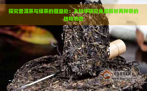 探究普洱茶与绿茶的健益处：从科学研究角度解析两种茶的独特功效