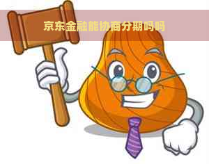 京东金融能协商分期吗吗