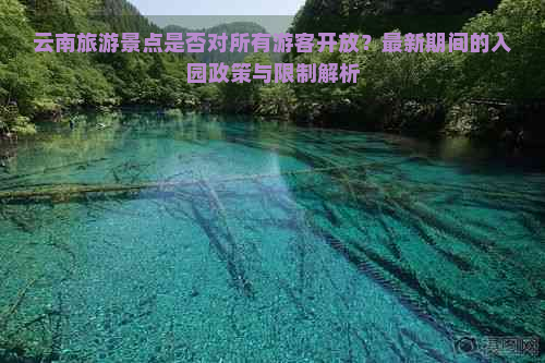 云南旅游景点是否对所有游客开放？最新期间的入园政策与限制解析