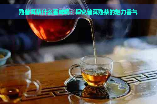 熟普洱茶什么香味喝：探究普洱熟茶的魅力香气