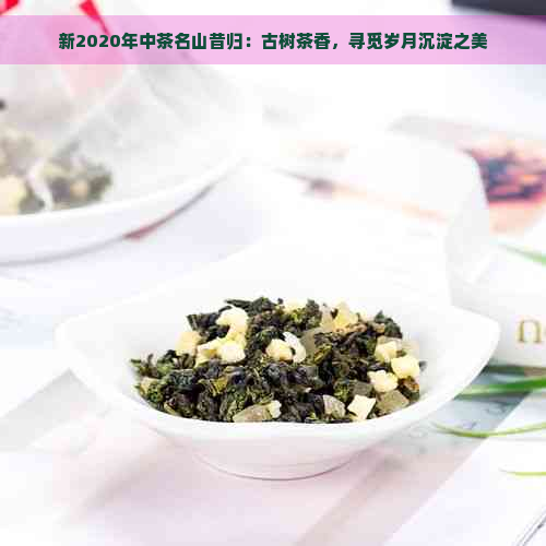 新2020年中茶名山昔归：古树茶香，寻觅岁月沉淀之美