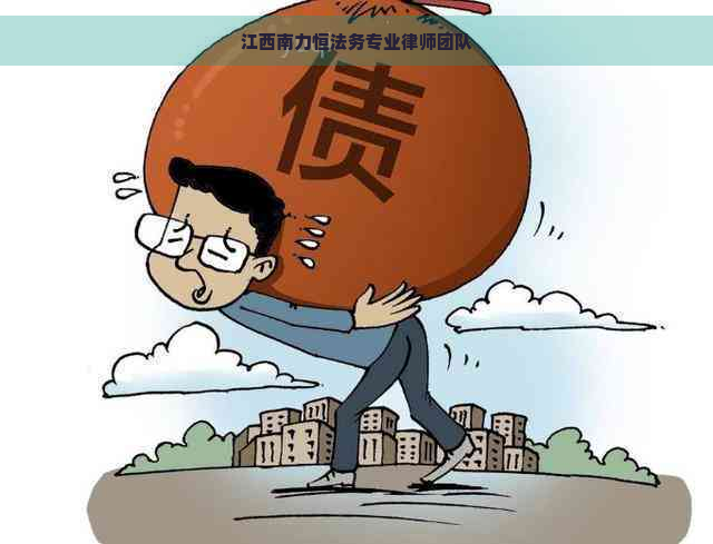 江西南力恒法务专业律师团队