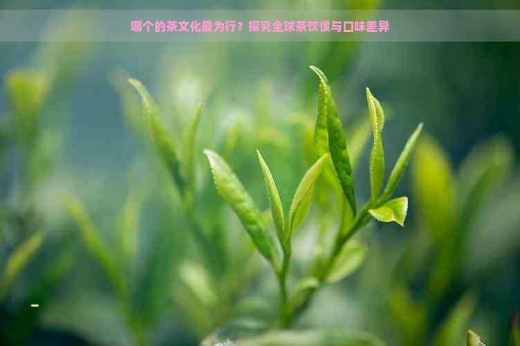 哪个的茶文化最为行？探究全球茶饮惯与口味差异