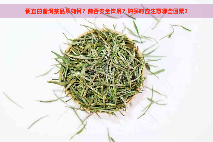 便宜的普洱茶品质如何？能否安全饮用？购买时应注意哪些因素？