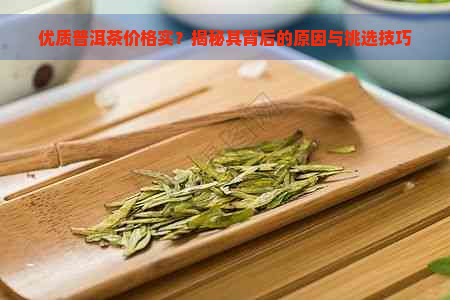 优质普洱茶价格实？揭秘其背后的原因与挑选技巧