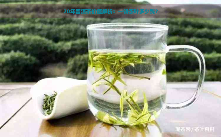 20年普洱茶价值解析：一饼茶叶多少钱？