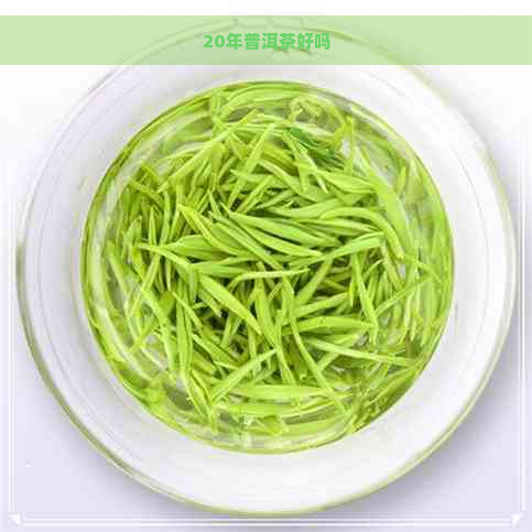 20年普洱茶好吗