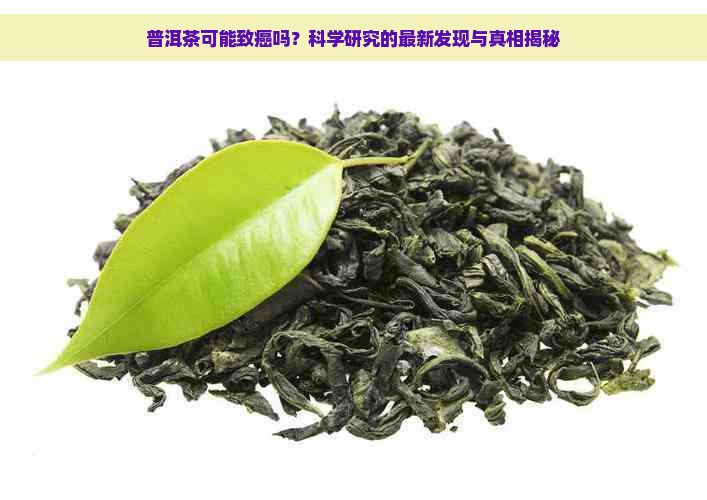 普洱茶可能致癌吗？科学研究的最新发现与真相揭秘