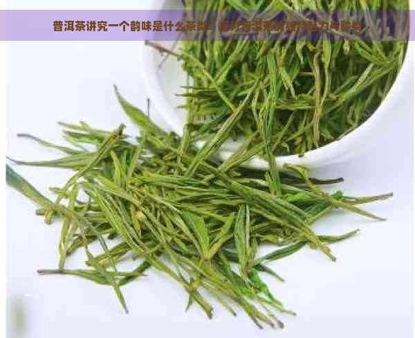 普洱茶讲究一个韵味是什么茶类：探讨普洱茶的独特魅力与种类