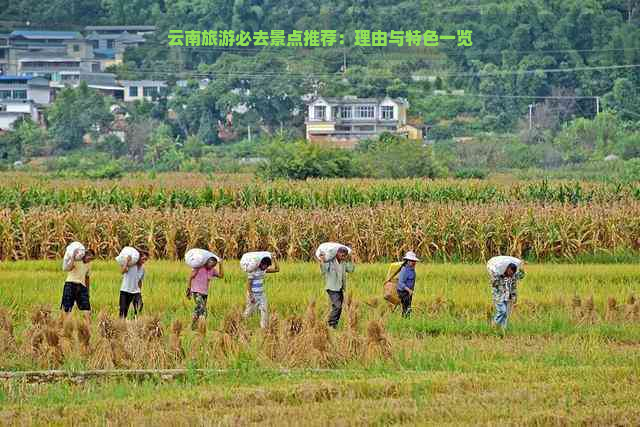 云南旅游必去景点推荐：理由与特色一览