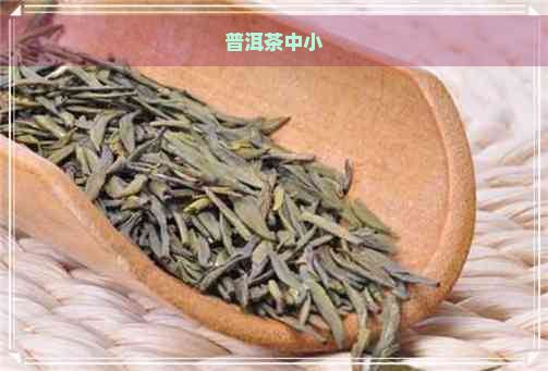 普洱茶中小