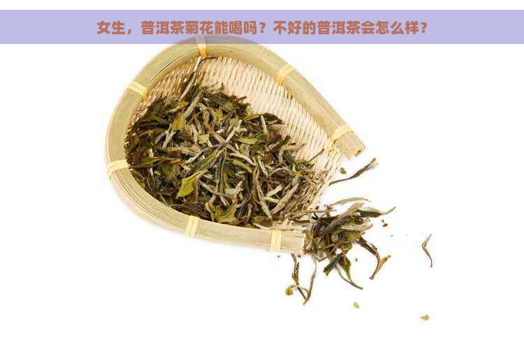 女生，普洱茶菊花能喝吗？不好的普洱茶会怎么样？