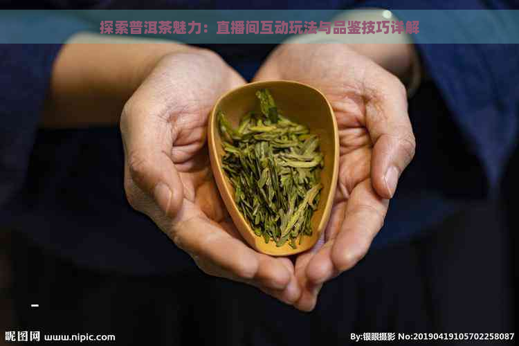 探索普洱茶魅力：直播间互动玩法与品鉴技巧详解