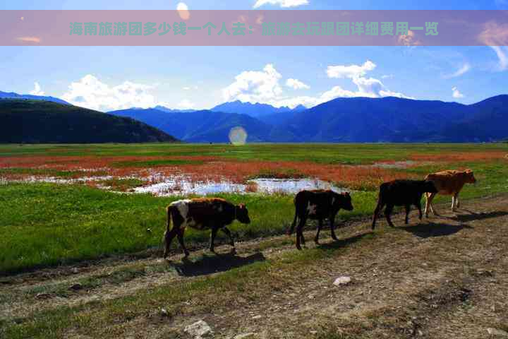 海南旅游团多少钱一个人去：旅游去玩跟团详细费用一览