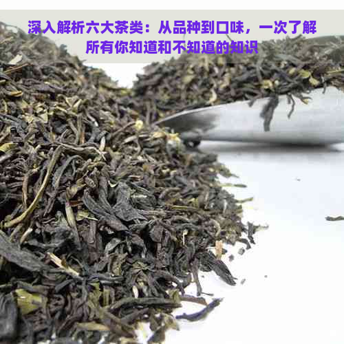 深入解析六大茶类：从品种到口味，一次了解所有你知道和不知道的知识