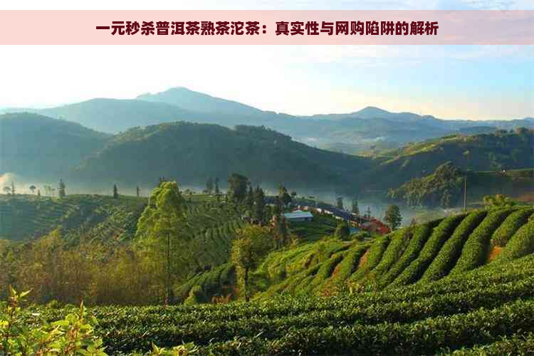 一元秒杀普洱茶熟茶沱茶：真实性与网购陷阱的解析