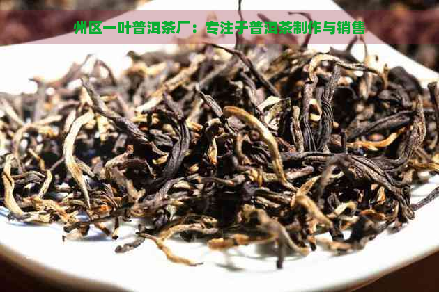 州区一叶普洱茶厂：专注于普洱茶制作与销售