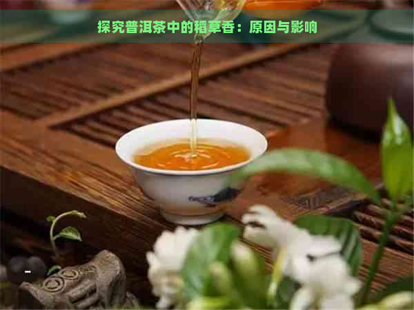 探究普洱茶中的稻草香：原因与影响