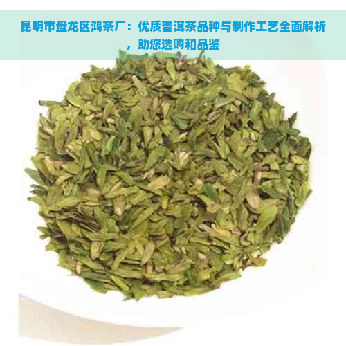 昆明市盘龙区鸿茶厂：优质普洱茶品种与制作工艺全面解析，助您选购和品鉴