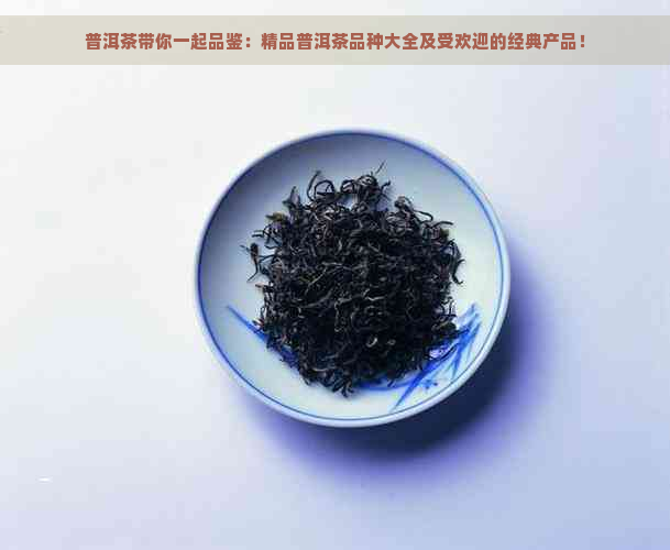 普洱茶带你一起品鉴：精品普洱茶品种大全及受欢迎的经典产品！