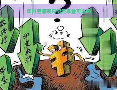 支付宝借呗只偿还本金可以吗