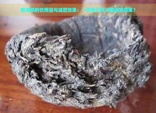 普洱茶的饮用量与减肥效果：一天喝几杯才能达到效果？