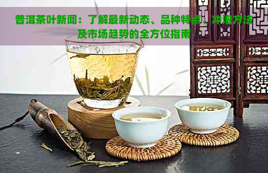 普洱茶叶新闻：了解最新动态、品种特点、冲泡方法及市场趋势的全方位指南