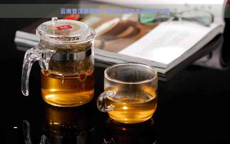 云南普洱茶精选：品质生活与文化体验主页