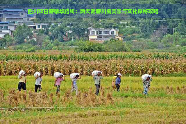 四川双日游精华路线：两天畅游川蜀美景与文化探秘攻略