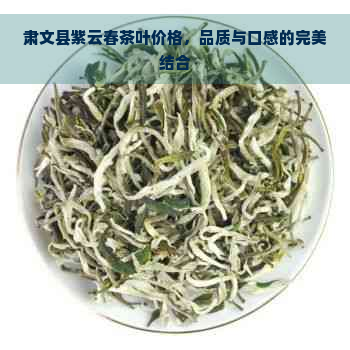 肃文县紫云春茶叶价格，品质与口感的完美结合